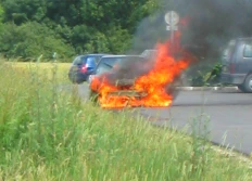 2003-06 - Tournois-salade