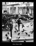 pigeons gosse