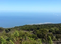 2016-04 - La Reunion