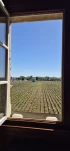 1000046406